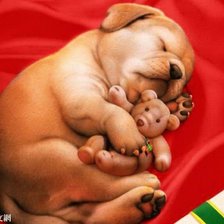 Схема вышивки «№244736»