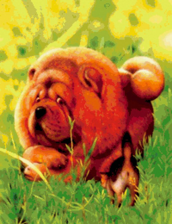 собаки - предпросмотр