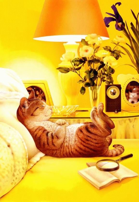 кошки - оригинал