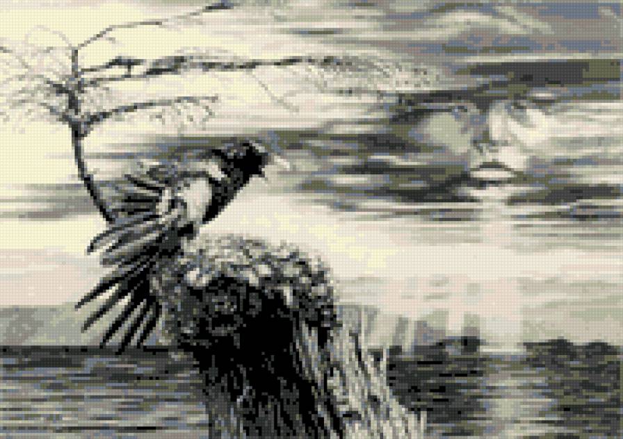 Ворон - ворона, вороны, ворон - предпросмотр