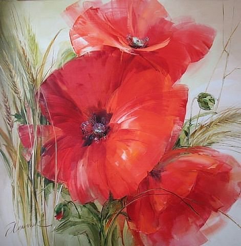 маки - цветы - оригинал