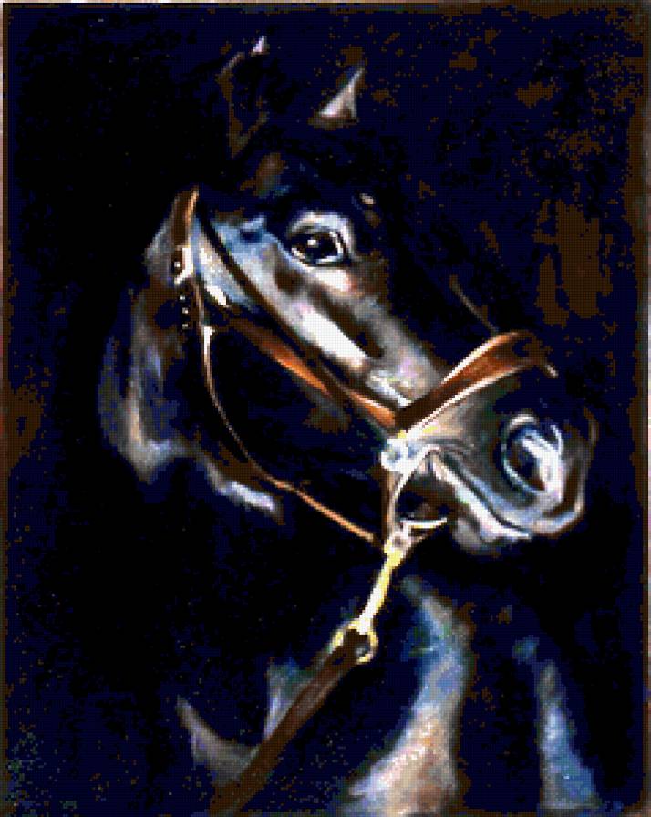 №244969 - лошади - предпросмотр