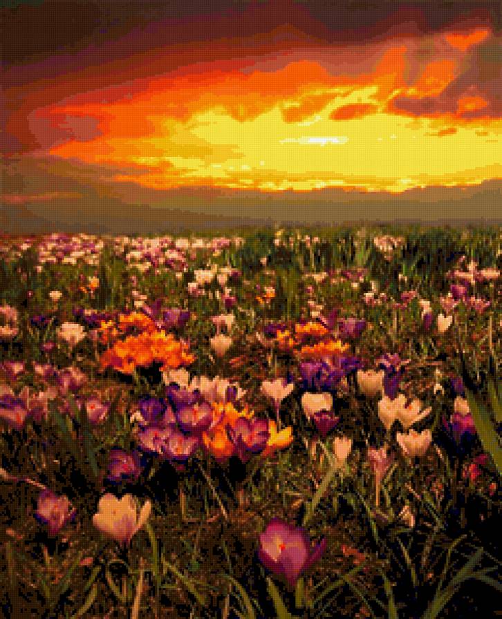 №244998 - пейзаж - предпросмотр