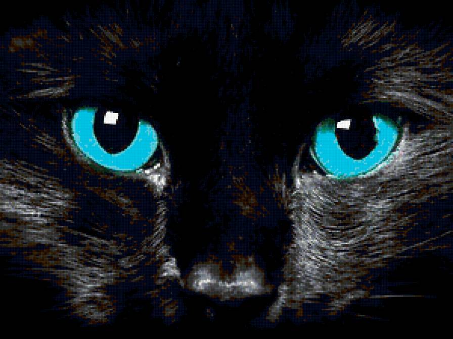 взгляд - предпросмотр