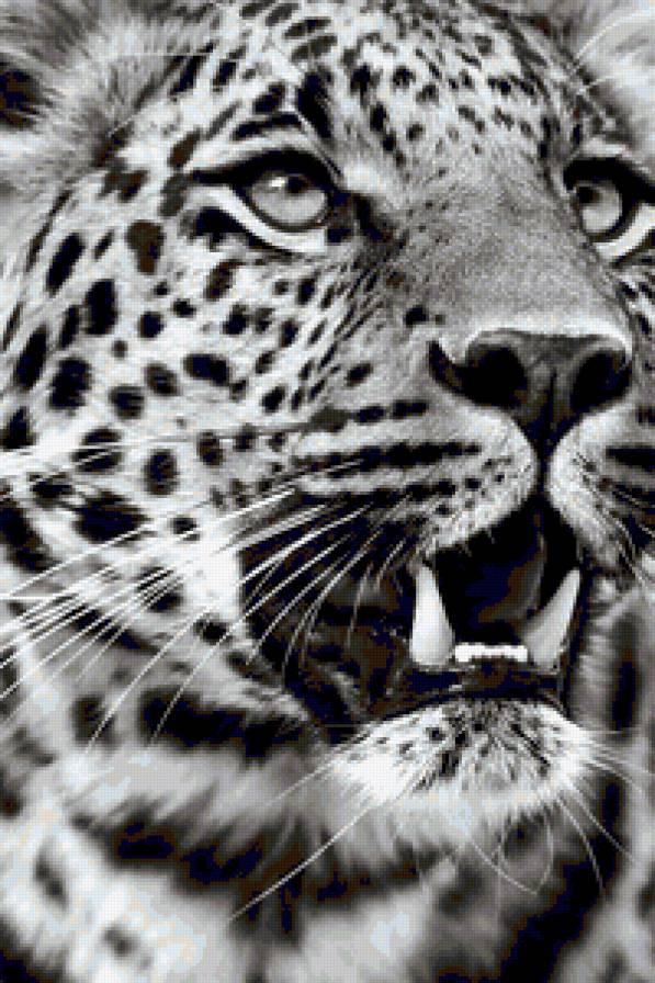 хищник - предпросмотр