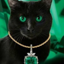 кот с зелеными глазами