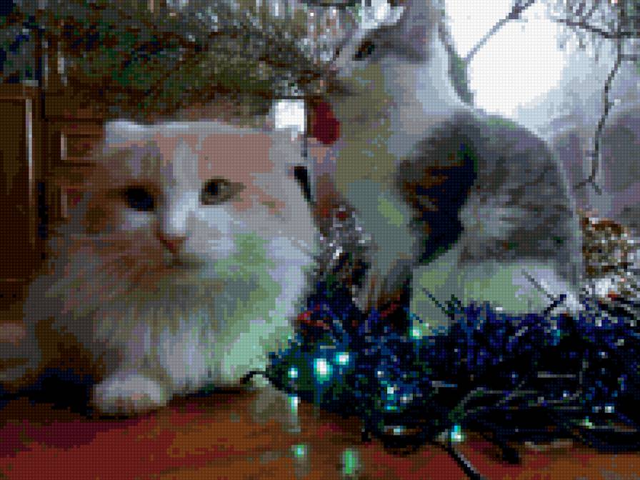 кэт - предпросмотр