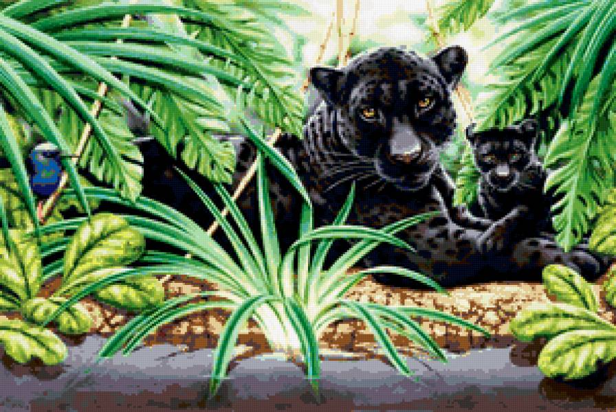 большие кошки - предпросмотр