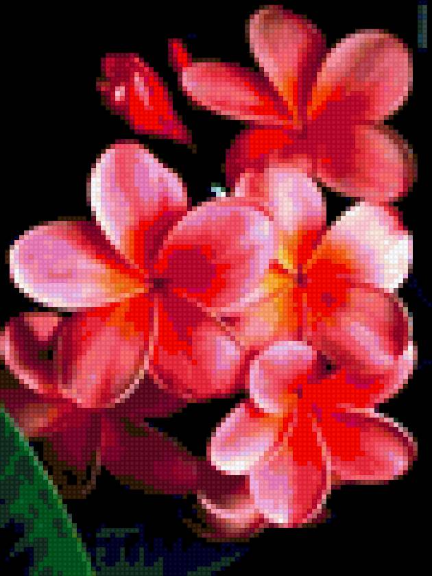 Цветы - цветы - предпросмотр