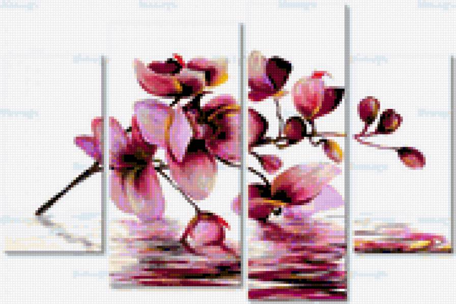 Орхидея 2 - предпросмотр