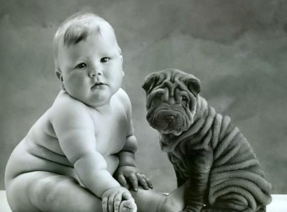 дружки - малыши - оригинал