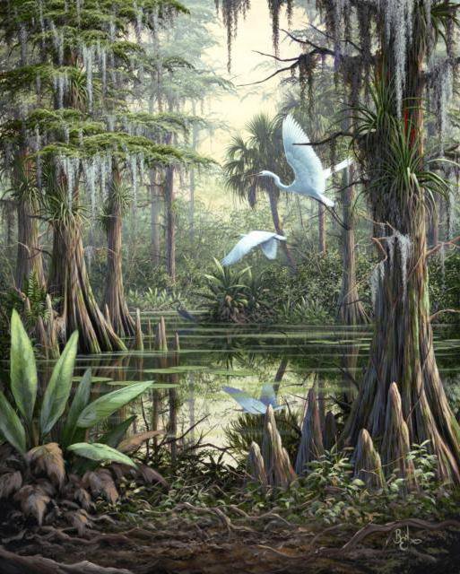 Пруд и цапли - цапли, пруд, птицы, птица, пейзаж, картина, природа - оригинал