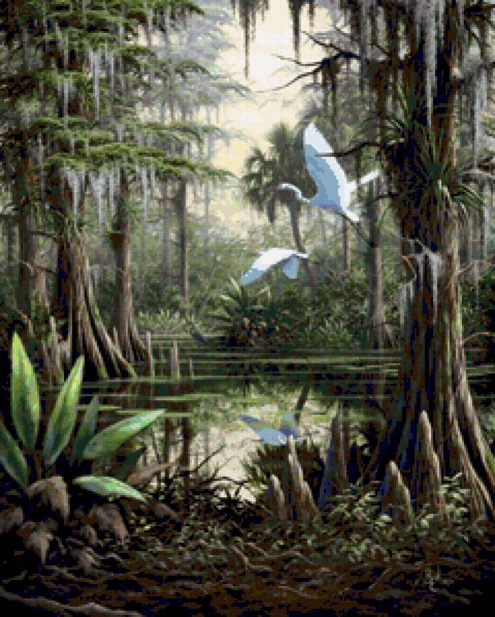 Пруд и цапли - птица, пруд, цапли, природа, картина, птицы, пейзаж - предпросмотр