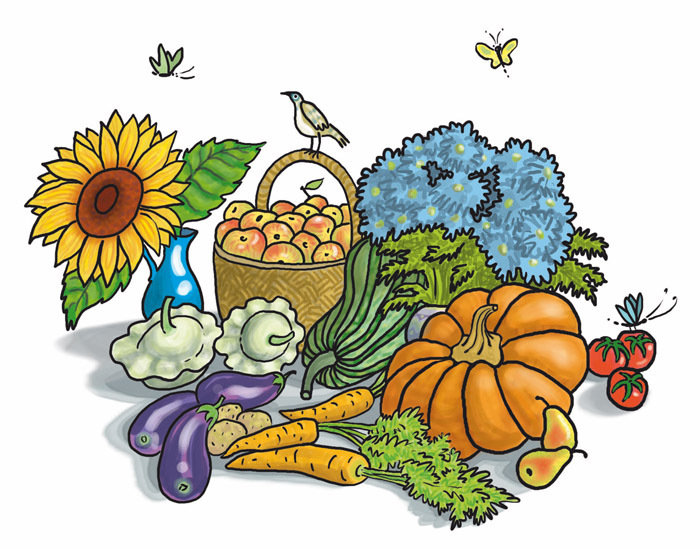 осенний урожай - огород, натюрморт, овощи, осень - оригинал