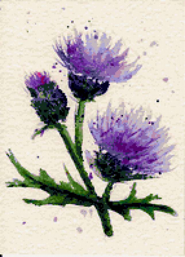 акварель - предпросмотр