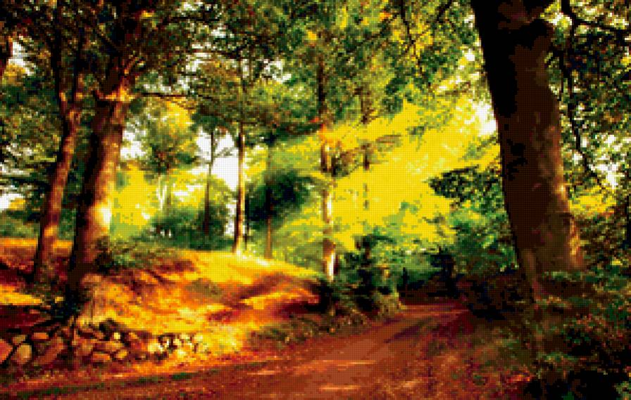 лес - природы, лес - предпросмотр