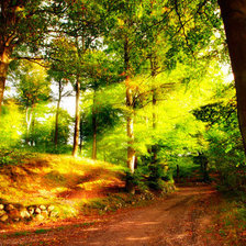 Схема вышивки «лес»