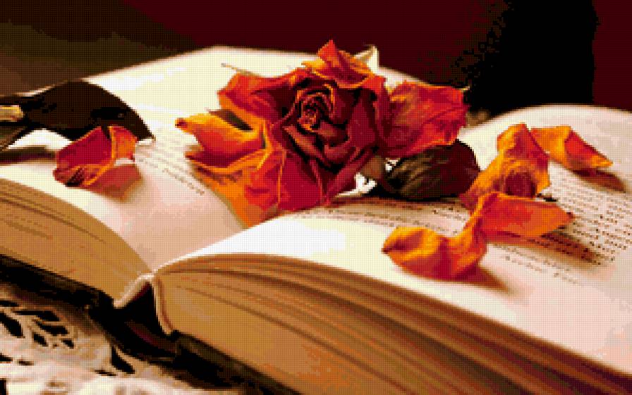 Книга - книга, цветок, роза - предпросмотр