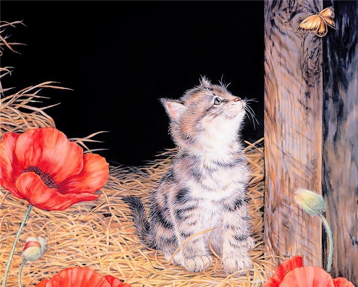 кошки - оригинал