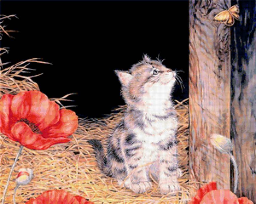 кошки - предпросмотр