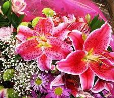 Схема вышивки «лилии»