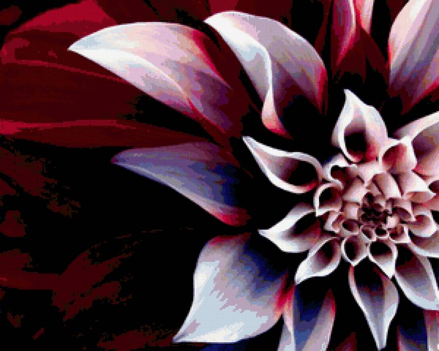 георгин - цветы - предпросмотр