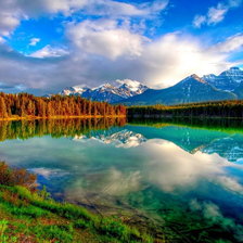 Схема вышивки «№245504»