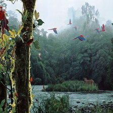 Схема вышивки «№245505»