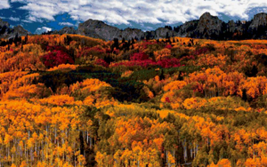 №245523 - предпросмотр