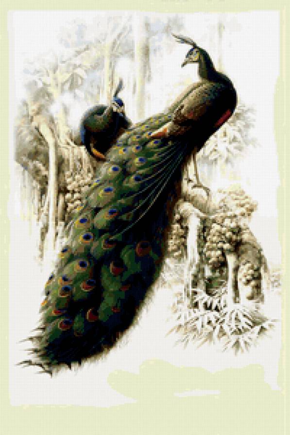 №245574 - предпросмотр