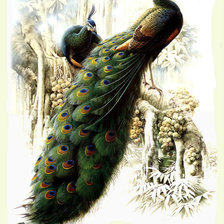 Схема вышивки «№245574»