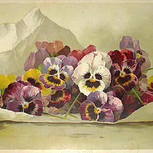 Схема вышивки «№245747»