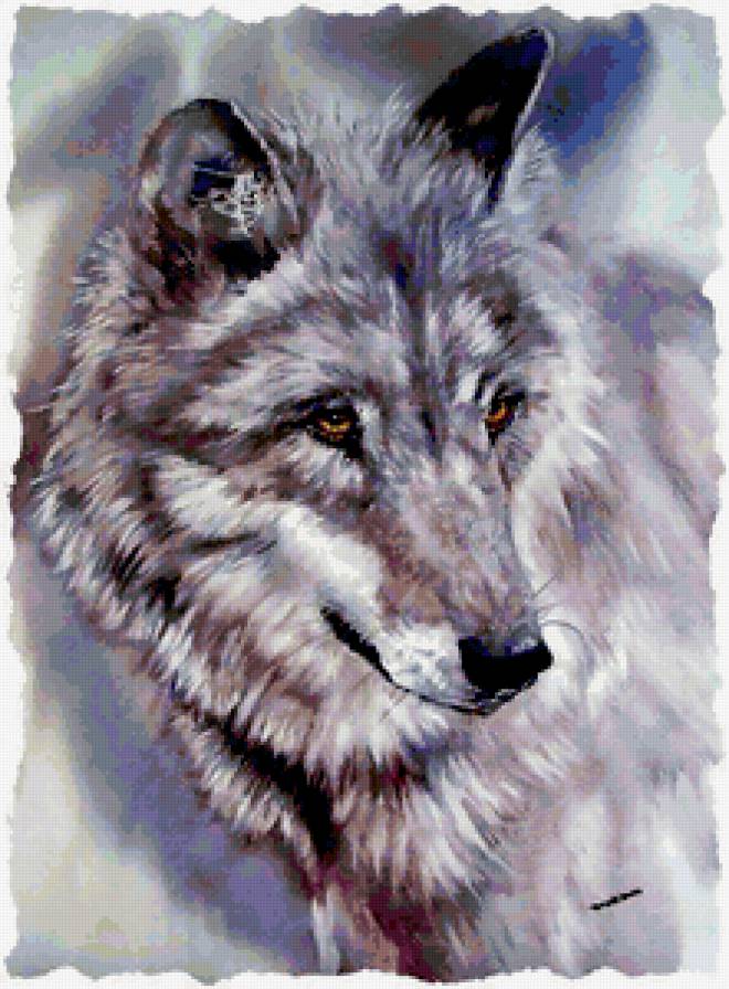 №245760 - предпросмотр