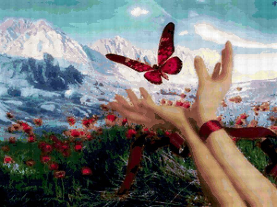 №245779 - предпросмотр