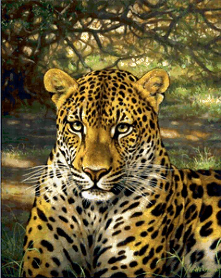 №245785 - предпросмотр