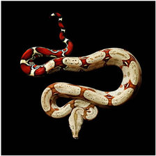 Схема вышивки «№245788»