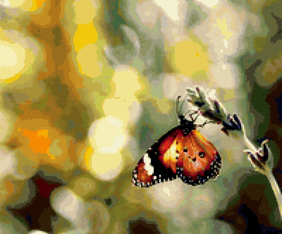 Бабочка - цветок, бабочка - предпросмотр