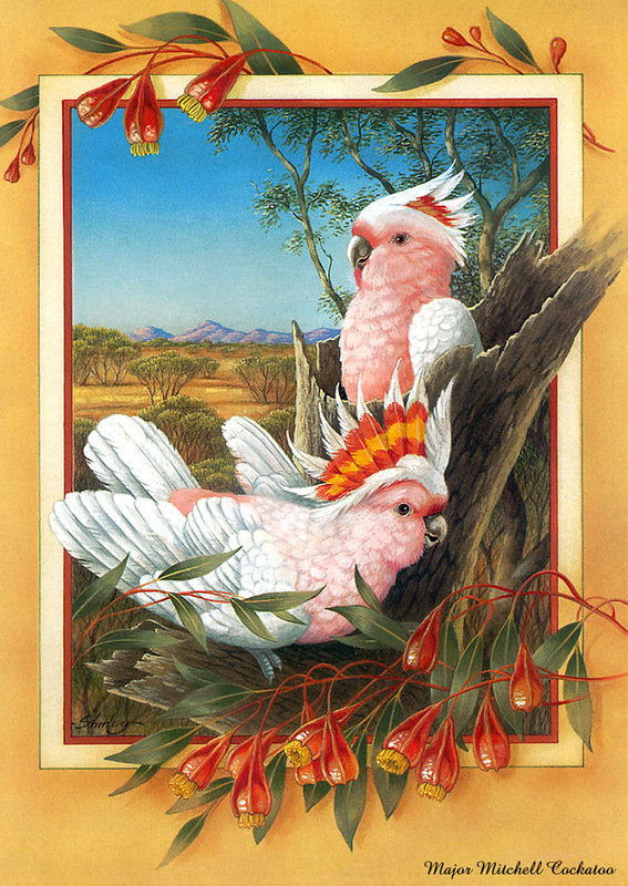 Серия птицы - тропики, попугай, цветы - оригинал