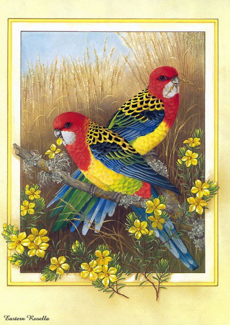 Серия Птицы - попугай, цветы - оригинал
