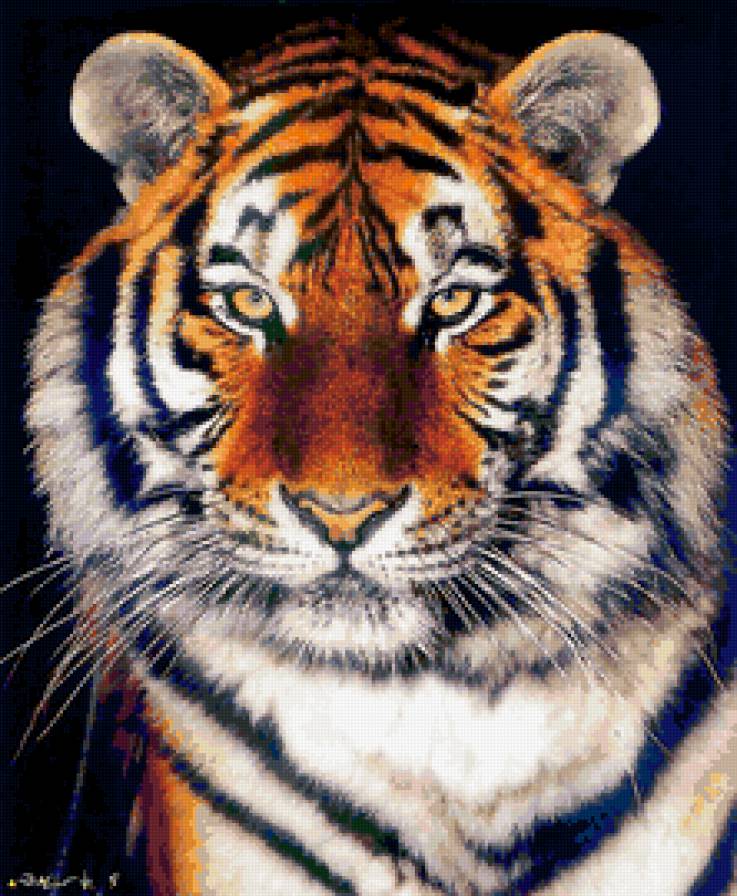 тигр - тигр, животные, кошки, хищники - предпросмотр
