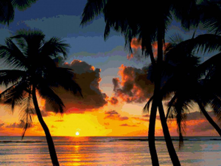 №246093 - закат, море, пальмы, природа - предпросмотр