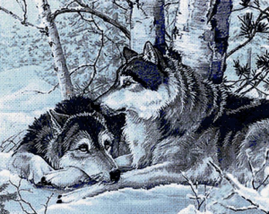 Два волка - волк, двое, животные, хищник - предпросмотр