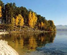 Схема вышивки «природа»