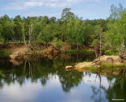 природа - оригинал