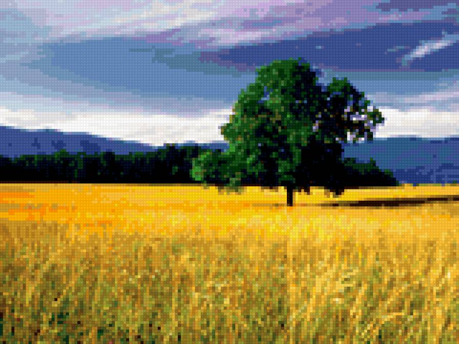 Дерево в поле - природа - предпросмотр