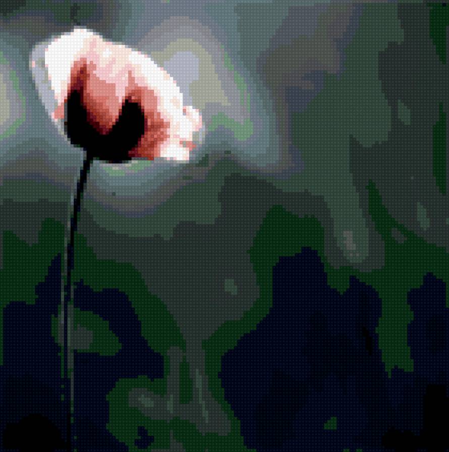 Ночной тюльпан - тюльпан, цветок, ночь - предпросмотр