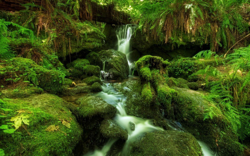 ПРИРОДА - оригинал