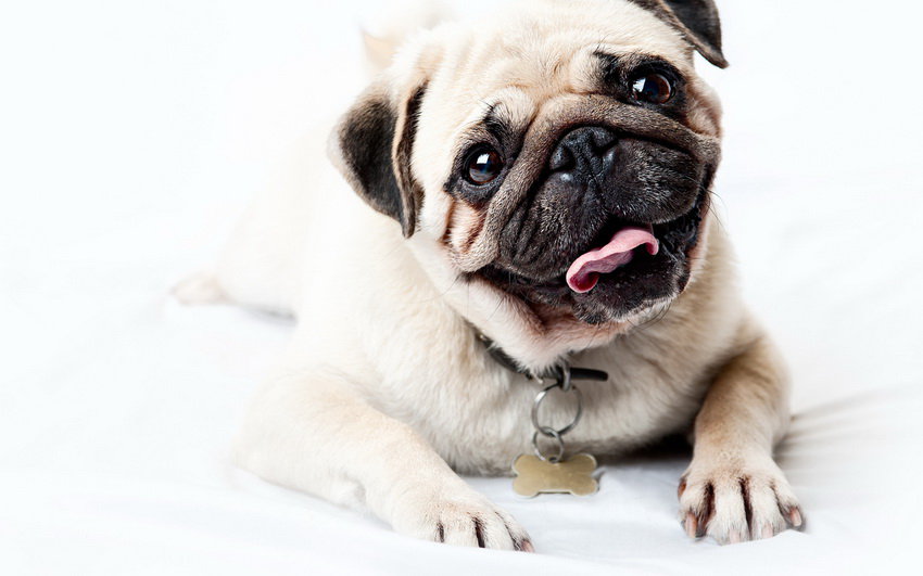 МОПС - оригинал