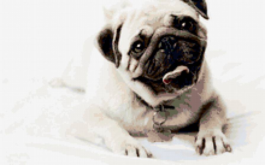 МОПС - предпросмотр