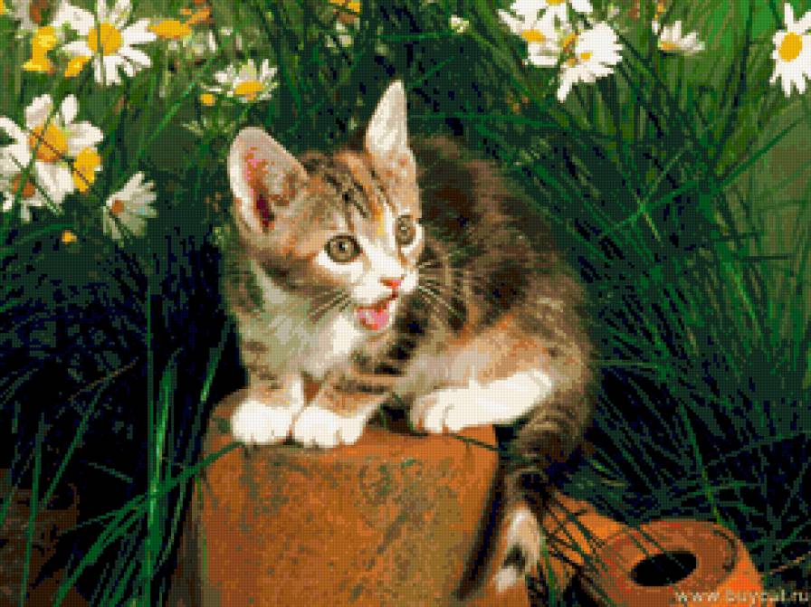 серия "кошки" - котенок. - предпросмотр